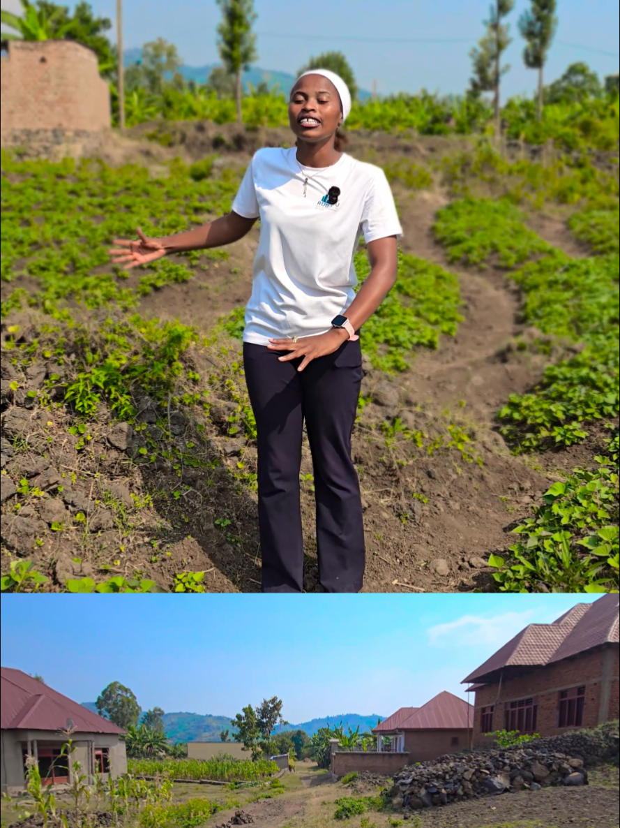 800 sqm Plot for Sale in Rugerero, Rubavu