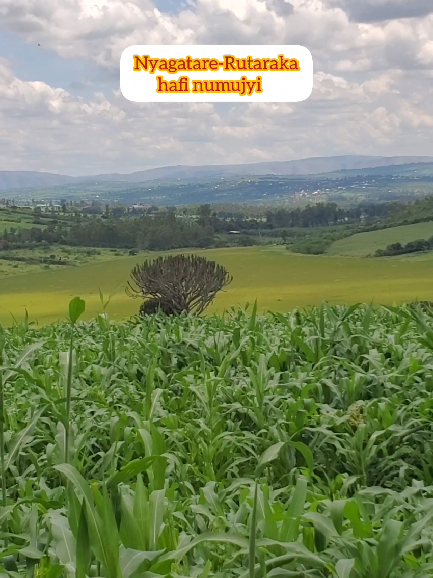 30,000 sqm Plot for Sale in Nyagatare, Nyagatare