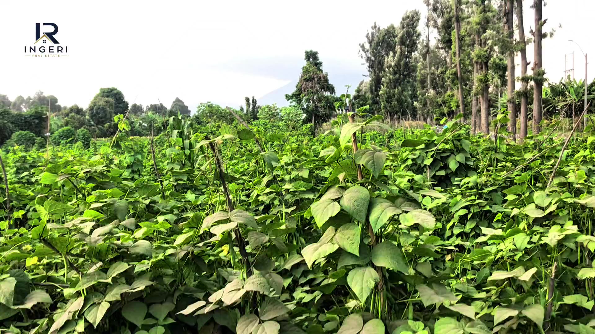 310 sqm Plot for Sale in Muko, Musanze