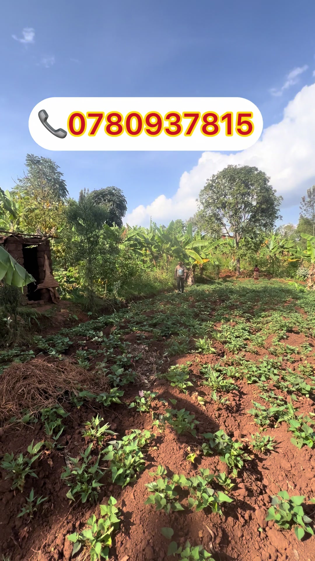 Plot for Sale in Gahengeri, Rwamagana