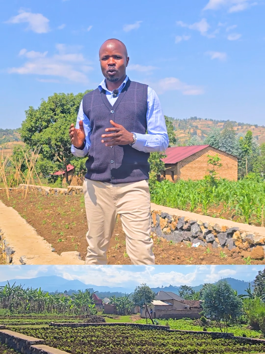 300 sqm Plot for Sale in Rugerero, Rubavu