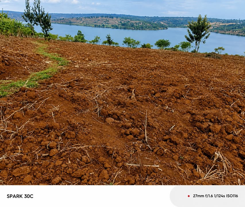 Agricultural Land for Sale in Rukara, Kayonza