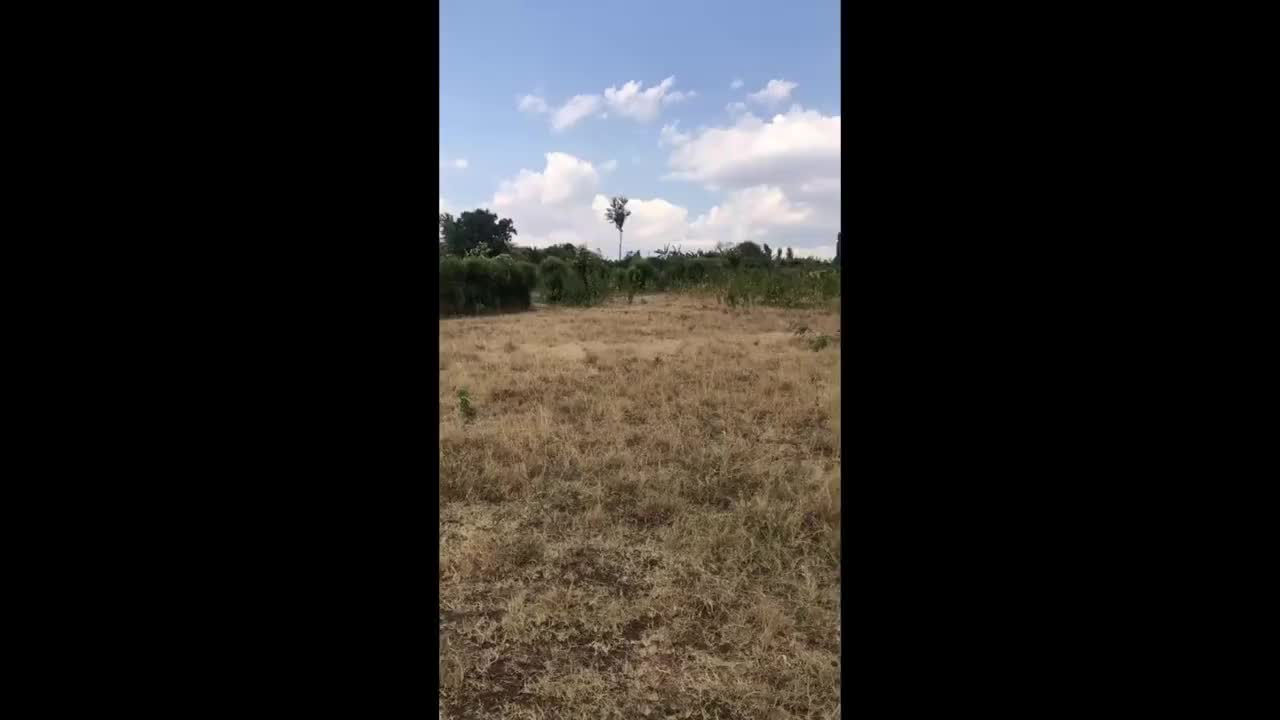 13,644 sqm Agricultural Land for Sale in Nyamata, Bugesera