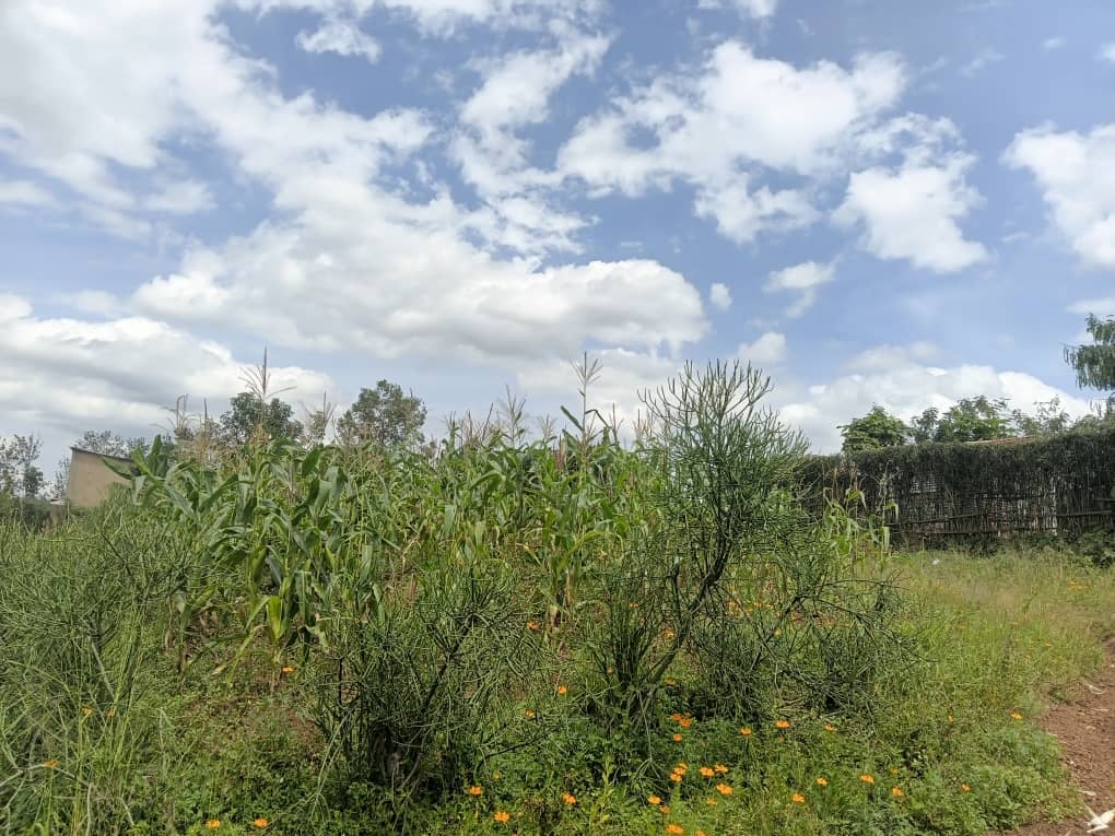 376 sqm Plot for Sale in Nyamata, Bugesera