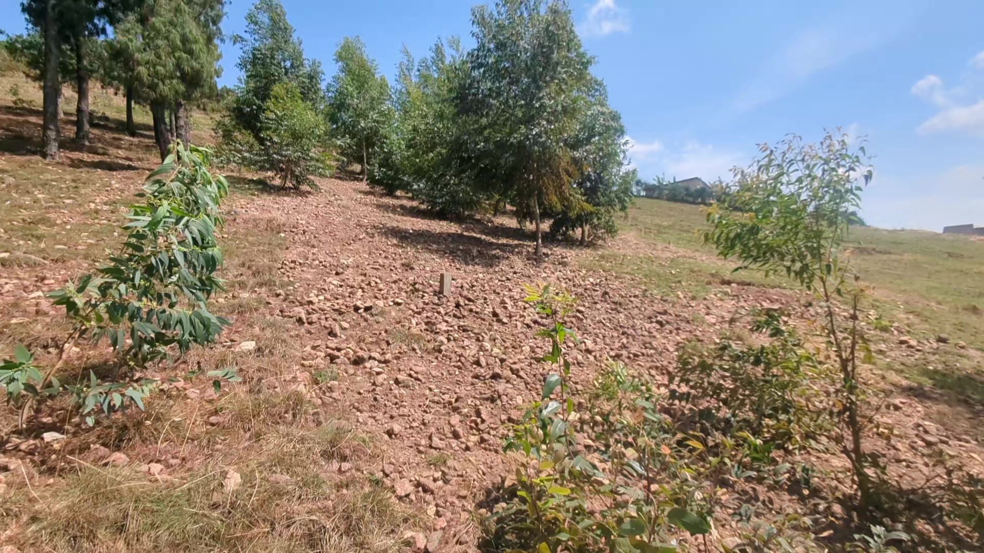 1,000 sqm Residential Plot for Sale in Musambira, Kamonyi