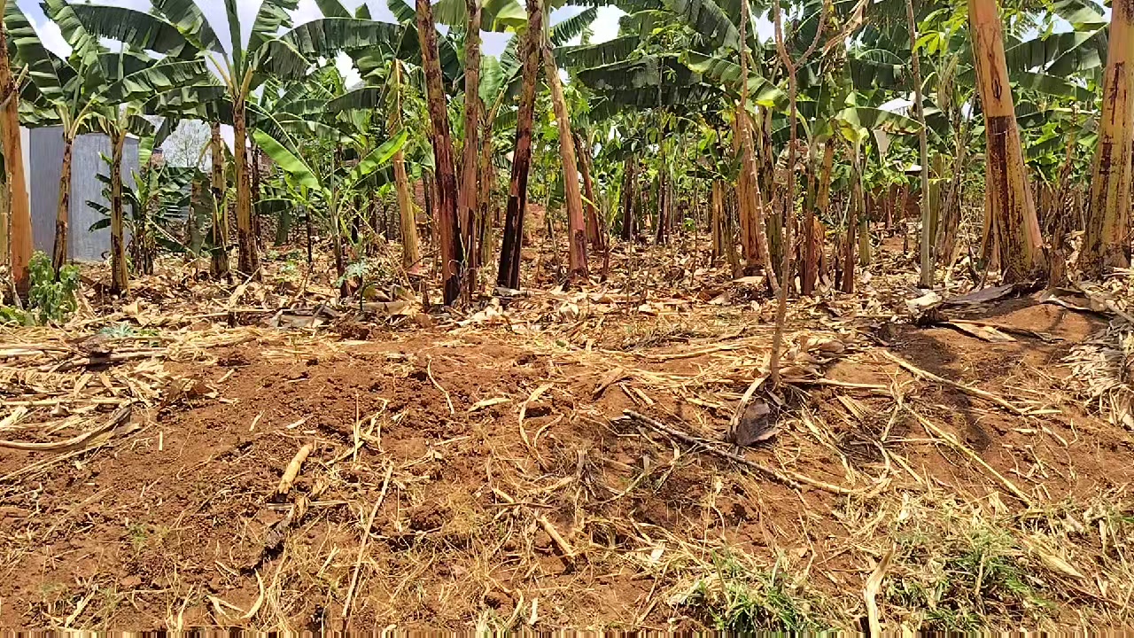 Plot for Sale in Runda, Kamonyi