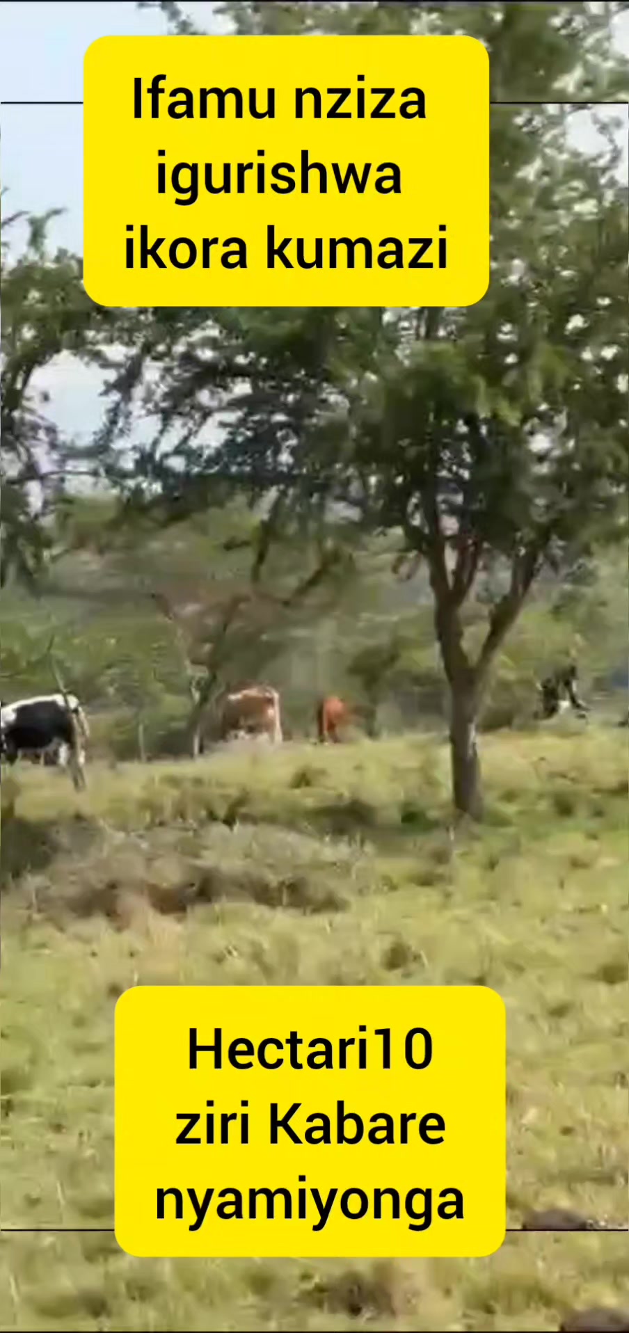 Livestock Farmland for Sale in Nyamiyonga, Musheri
