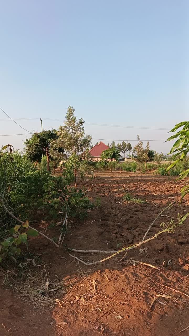 ndagurisha ikibanza ubuso 30-9 miIion2.200 nimiturire aracyenewe