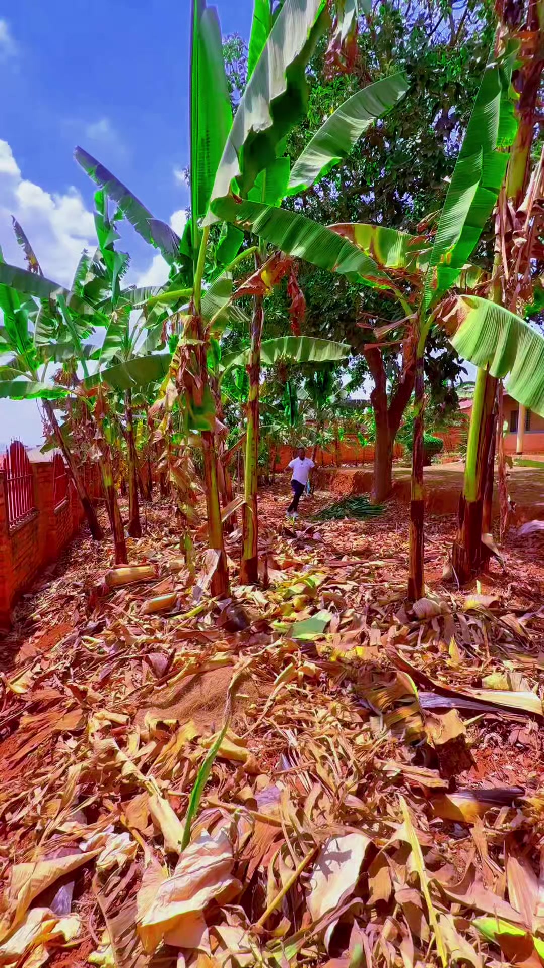 Plot for sale in Kicukiro